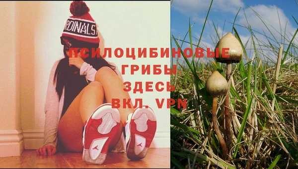 скорость Алексеевка
