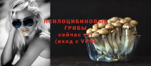 скорость Алексеевка