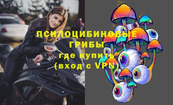 a pvp Алексин