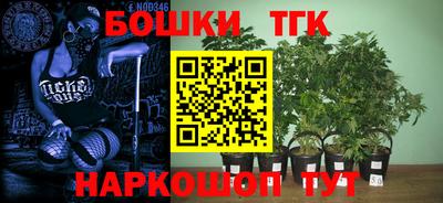 прущие грибы Кунгур