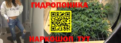 прущие грибы Кунгур