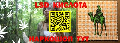 прущие грибы Кунгур