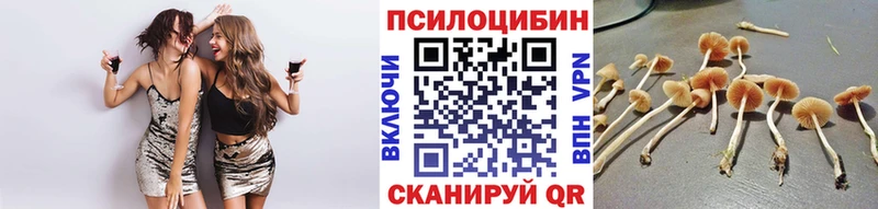 дарнет шоп  Лабытнанги  Псилоцибиновые грибы MAGIC MUSHROOMS 